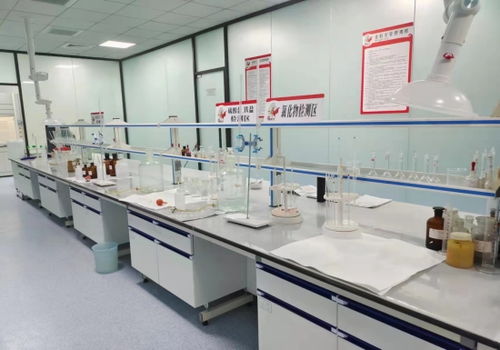 河北邢臺 “小巨人”成香餑餑，領跑產業技術開發加速度