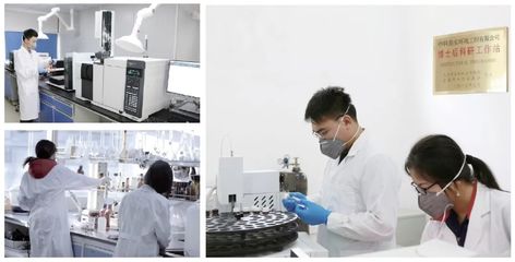 六五環境日|中科鼎實沖鋒在前，以技術創新守護綠水青山